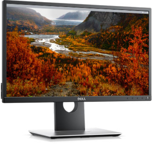 Dell Profesional LED Monitor Series P2217H