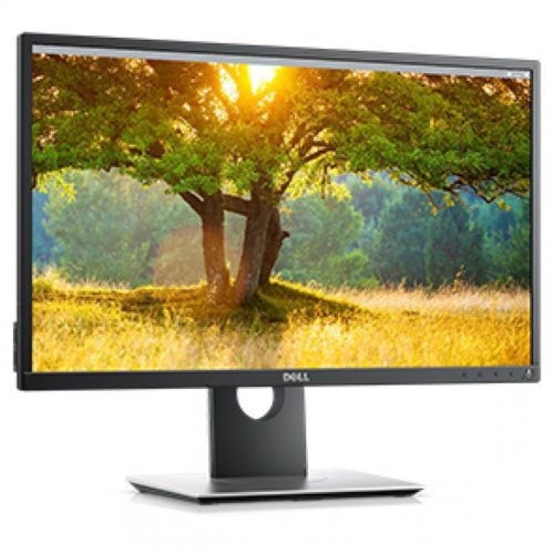 Dell Profesional LED Monitor Series P2417H