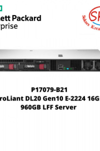 P17079-B21 HPE ProLiant DL20 Gen10 E-2224 16GB SSD 960GB LFF Server