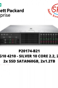 P20174-B21 DL380 G10 4210 – SILVER 10 CORE 2.2, 2x32GB, 2x SSD SATA960