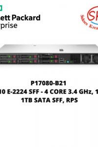P17080-B21 DL20 G10 E-2224 SFF – 4 CORE 3.4 GHz, 16GB, 2x 1TB SATA SF